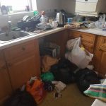 landlord cleaning solutions in Beaulieu